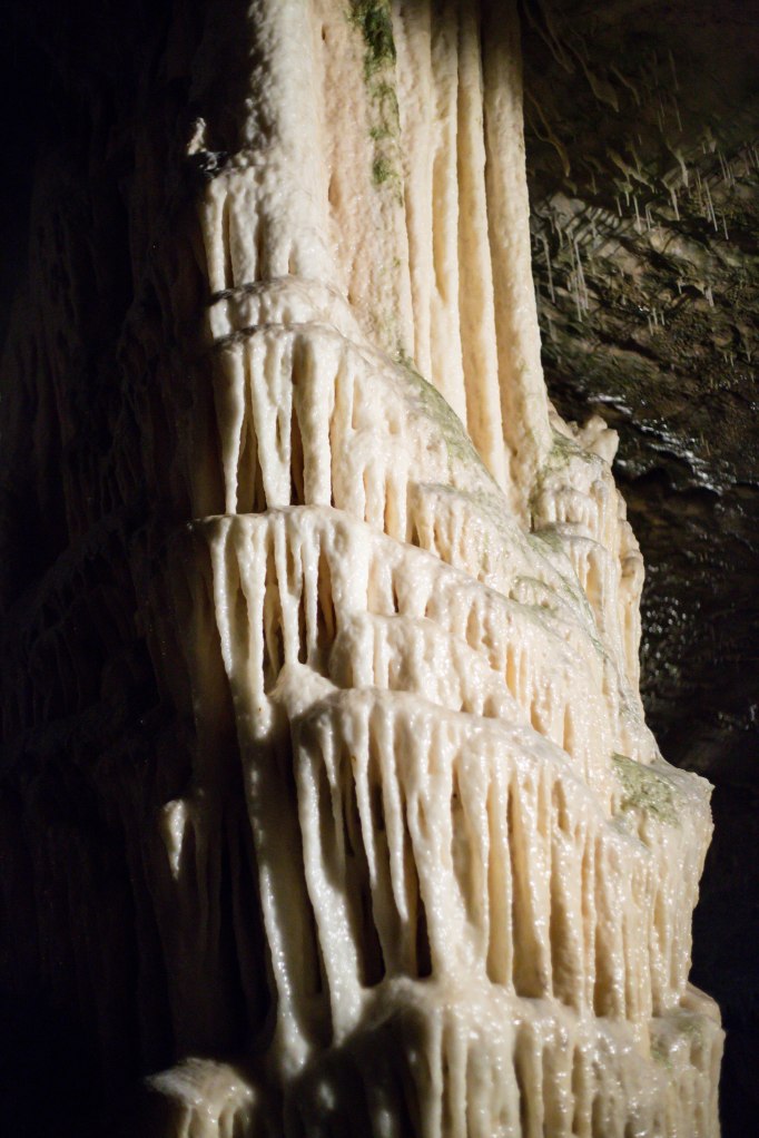 Stalagtites hold tight to the ceiling.  *See, I did listen in middle school science!
